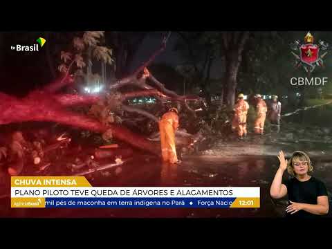 DF | Chuva provoca queda de árvores e alagamentos no Plano Piloto