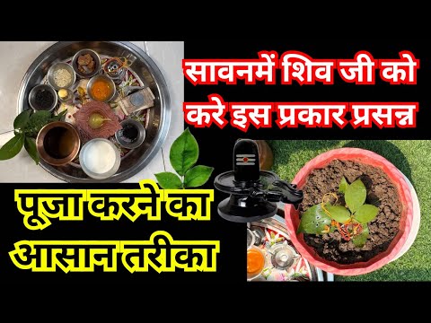 सावन में शिव जी को करें इस प्रकार प्रसन्न पूजा करने का आसान तरीका |sawan | mahadev