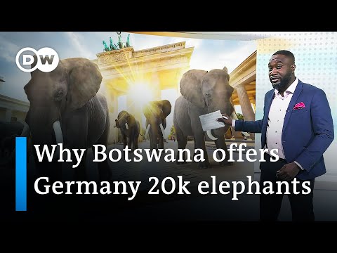 Botswana's President Masisi: 'I want the Germans to feel what we feel' | DW News Africa