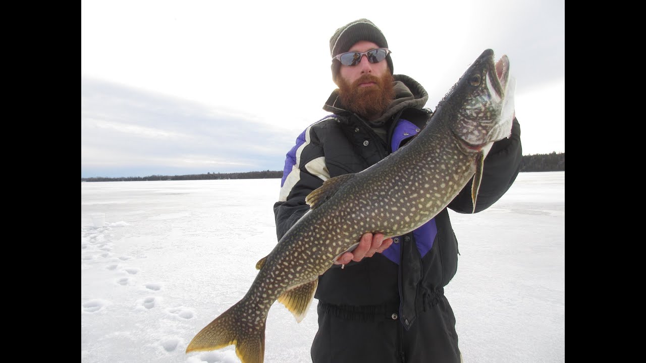Ice Fishing For Giant Lake Trout - 6 lbs Test Line! - North Canada