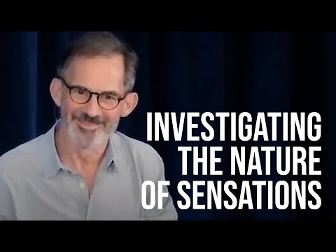 Exploring the Nature of Sensations