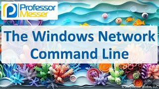 The Windows Network Command Line - CompTIA A+ 220-1202 - 1.5