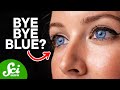 Understanding Blue Eyes: A Genetic Journey
