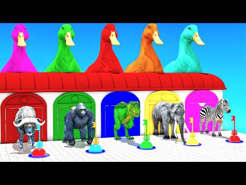 Long Slide Game With Cow Elephant Gorilla Hippopotamus Tiger 3d Animal Game Funny 3d Animals