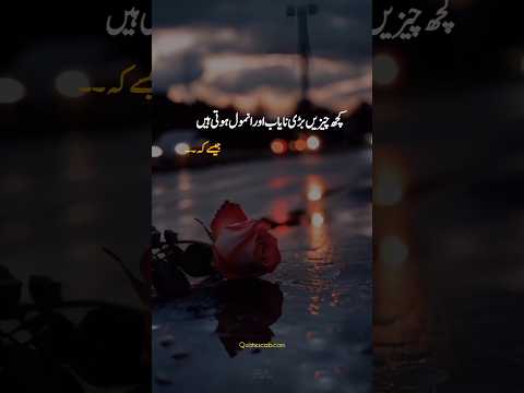 Best Deep Urdu Lines ❣️ #shortsfeed #whatsappstatus #urdulines #shorts
