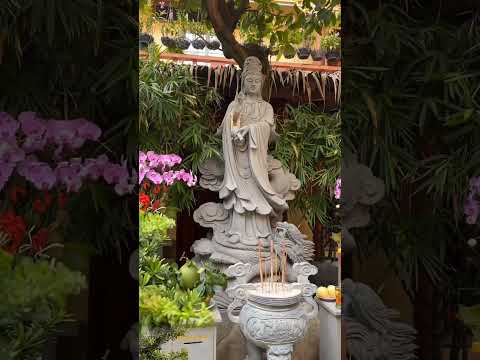 AN YÊN. RỒI TẤT CẢ SẼ QUA ĐI NHƯ PHÙ DU