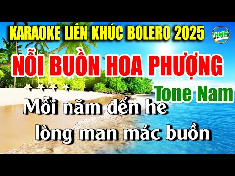 Karaoke Liên Khúc Trữ Tình Tone Nam Dễ Hát | Nhạc Vàng BOLERO Tuyển Chọn – NỖI BUỒN HOA PHƯỢNG