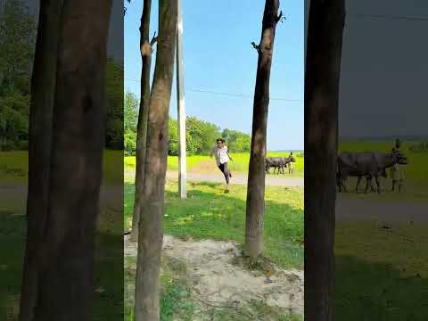 #comedy | मैथिली कॉमेडी 🤣🤣 |‌ #maithili #ytshorts #manimeraj #surajroxfunnyvibeo