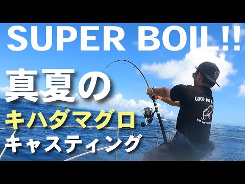 真夏のスーパーボイル！三重の海でキハダマグロキャスティング