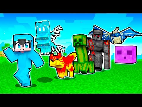 Minecraft Pero Puedes EVOLUCIONAR a Los MOBS