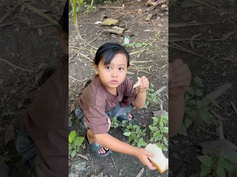 RAKA MAKAN ROTI NYUMPUT DI KEBON #minivlog #hiburanshorts #anakdesa #vlog