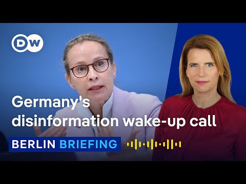 How the German far-right fuelled a campaign of division ahead of constitutional court votes