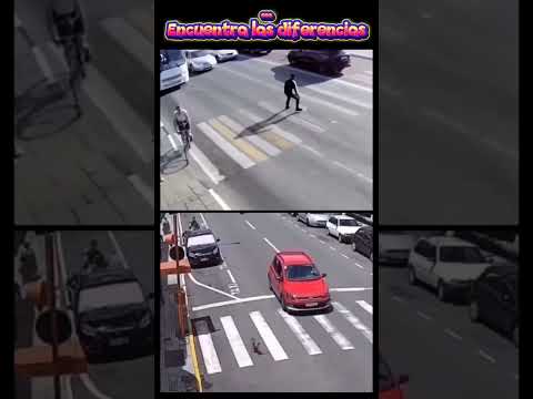 POR ESO EL PERRO ES EL MEJOR AMIGO DEL HOMBRE 🏃🏻‍♂️🦮