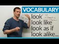 Subjunctive Mood and Expressions