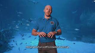 Meet Lewis Cocks, our Aquarist Supervisor!