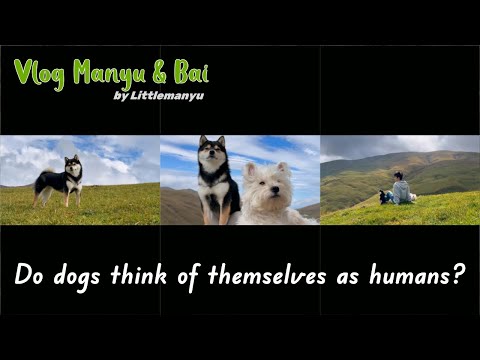 【Vlog】Does Manyu think of herself as a human?