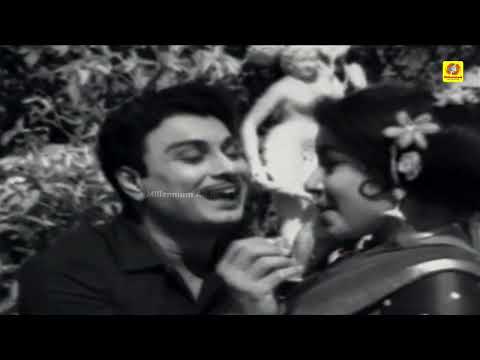 Chithaadai... (Tamil) Video Song | Ther Thiruvizha Movie | MGR | TMS | P Susheela