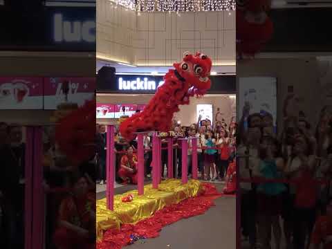 CNY 2026 -some of the lucky people who caught the plushies from the lions 😝