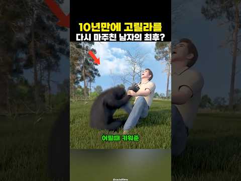 10년만에 다시 만난 고릴라가 당신을 기억할까?