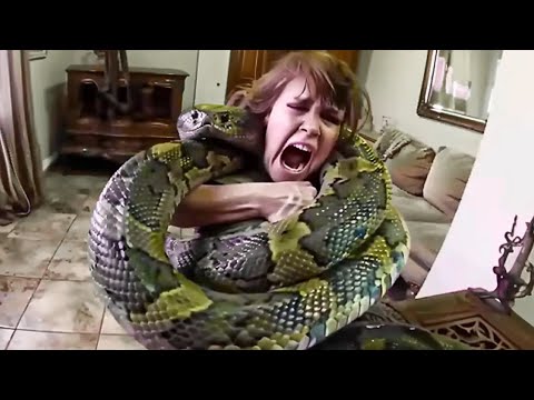 DEADLIEST Snake Encounters Caught On Camera