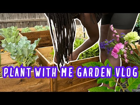 1ST TIME PLANTING IN NEW RAISED GARDEN BEDS | GARDENING VLOG