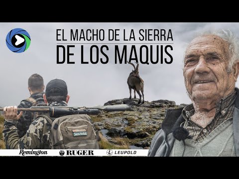 EL MACHO DE LA SIERRA DE LOS MAQUIS I Cazando con el RUGER  AMERICAN GEN II PREDATOR