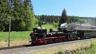 Die Sächsischen IV K 99 542 und I K Nr 54 dampfen zu Pfingsten 2026 durch das Preßnitztal