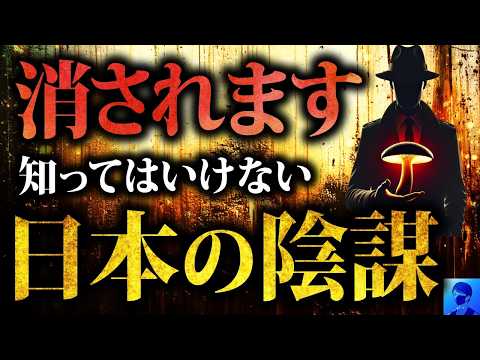 【タブーに迫る】松茸陰謀論！なぜ日本の松茸は高い？