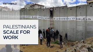 Palestinians risk lives by scaling separation wall to find work