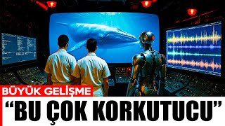 Yapay Zekâ Balinaların Gizli Dilini Çözdü! Balinaların Söyledikleri Herkesi Şaşırttı!