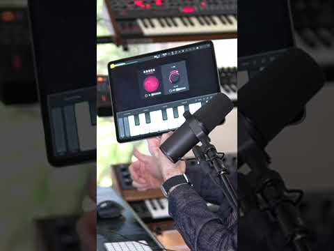 Using KNOCK Clipper iOS on an iPad 🥁🔥 #shorts