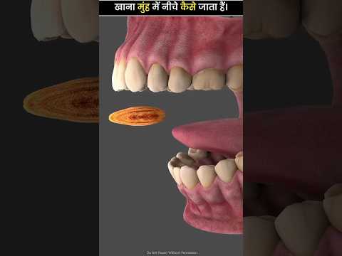 खाना अंदर कैसे जाता है.?