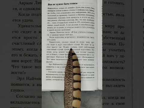 Создай свою удачу. Сильные слова из книги