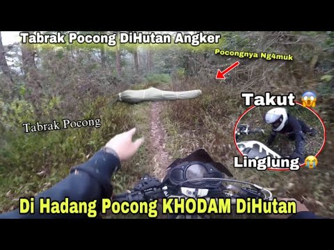 HORROR LUARBIASA ‼️ TABRAK POCONG KODHAM BUSUK AMPE UTEK” NANGIS 😱😭 HUTAN APA INI KOK BNYK POCONG 😱