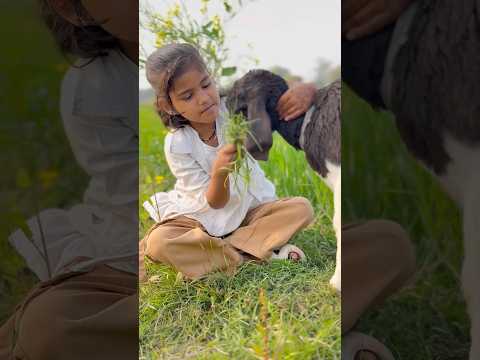 Bol roshni madam😅