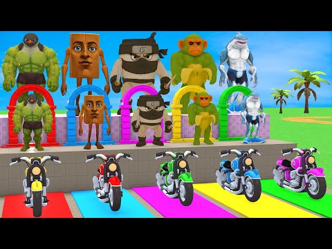 Long Slide Game With Cow Elephant Gorilla Hippopotamus Tiger - 3d Animal Game - Funny 3d Animals