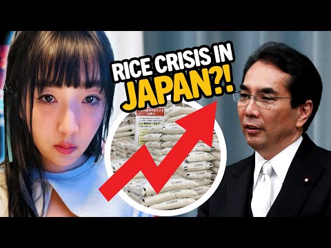 Why Rice In Japan Is So Expensive Now? | From A Japanese Teacher Viewpoint