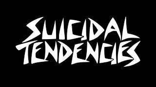 Snailmir Live Stream