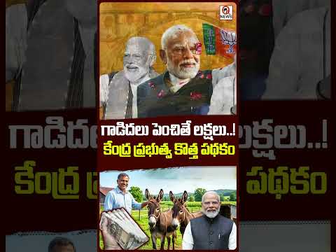 గాడిదలు పెంచితే లక్షలు..! కేంద్ర ప్రభుత్వ కొత్త పథకం #pmmodi #donkeys #centralgovernment #goodnews