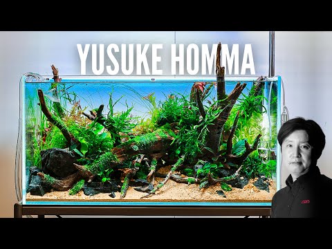 Nature Aquarium Workshop by Takashi Amano's best S WERBEVIDEO | This workshop is led by none other than Yusuke Homma, a creative force at @aquadesignam