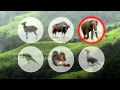 Ecological Roles in Western Ghats