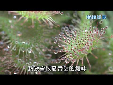縮時攝影：毛氈苔的捕蟲運動 - YouTube(4分50秒)