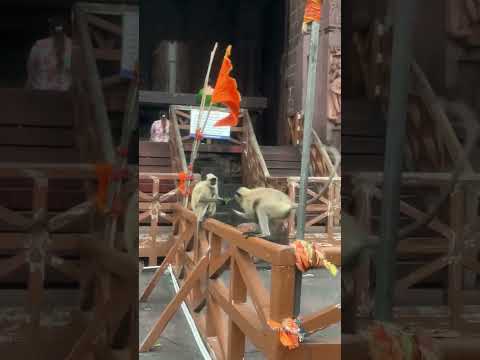 Kya aapne bhojpur mandir ki sandhya aarti dekhi hai ❤️#bhojpurtemple #sandhyaaarti #minivlog