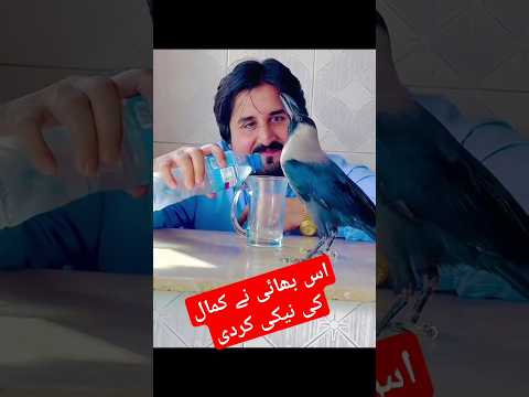 #funny #viralvideo #duet