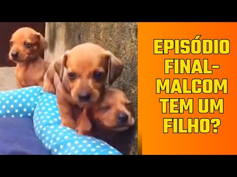 Episódio final - Será que Malcom tem um filho?