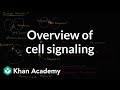 Cell Communication and Signaling Concepts