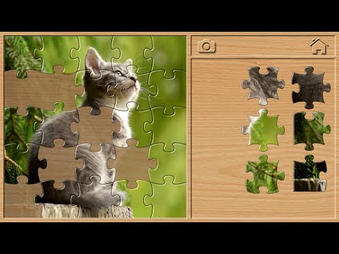 JIGSAW PUZZLES FOR KIDS (ENGLISH) ANIMAL PUZZLES FOR CHILDREN (ZOO ANIMALS, CAT)