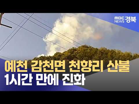 예천 감천면 천향리 산불..1시간 만에 진화