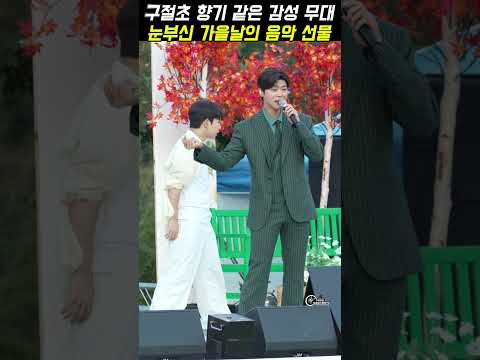 정읍의 가을을 물들인 박지현 가수님의 ‘녹아버려요’ #박지현가수 #구절초꽃축제 #순천시민의날 #구포나루축제