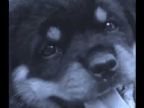 Wham! - Blue (Armed with love) (studio version)